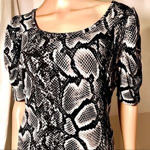 🔥BOGO🔥Worthington Black and White Python Pattern